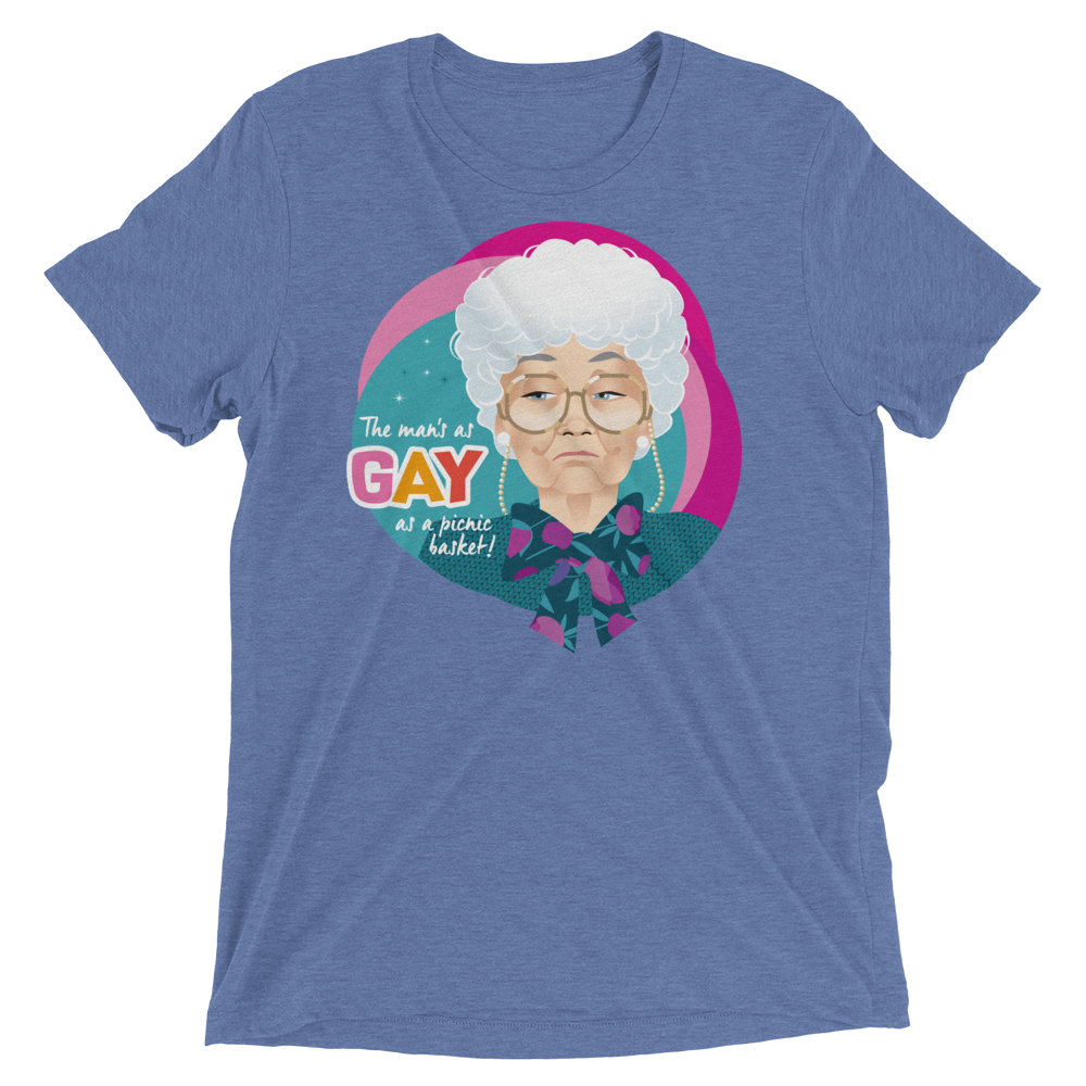 Gay as a Picnic Basket-Triblend T-Shirt-Swish Embassy