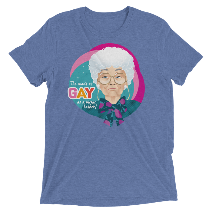 Gay as a Picnic Basket-Triblend T-Shirt-Swish Embassy