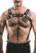 Gran Canaria (Harness)-Leather-Swish Embassy