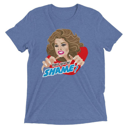 Have You No Shame? (Retail Triblend)-Triblend T-Shirt-Swish Embassy
