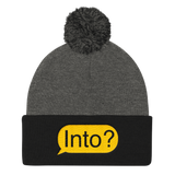 Into? (Beanie)-Beanie-Swish Embassy