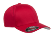 Money Shot (Baseball Cap)-Headwear-Swish Embassy