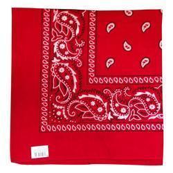 Paisley Hanky Code Bandana-Swish Embassy