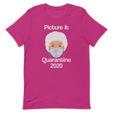 Picture it Quarantine 2020-T-Shirts-Swish Embassy