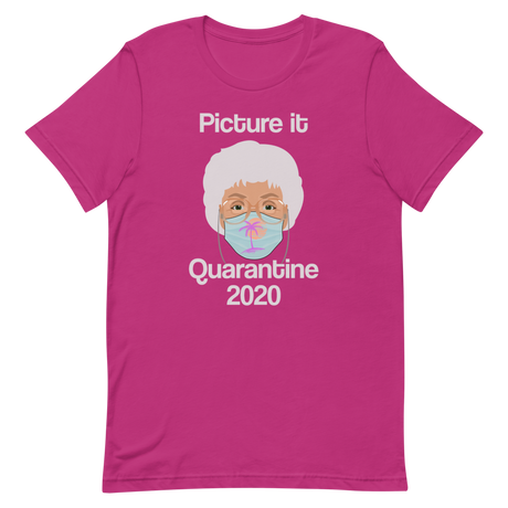 Picture it Quarantine 2020-T-Shirts-Swish Embassy