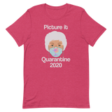 Picture it Quarantine 2020-T-Shirts-Swish Embassy