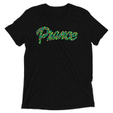 Prance (Retail Triblend)-Triblend T-Shirt-Swish Embassy