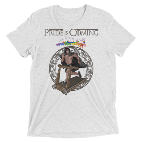 Pride is Coming (Retail Triblend)-Triblend T-Shirt-Swish Embassy