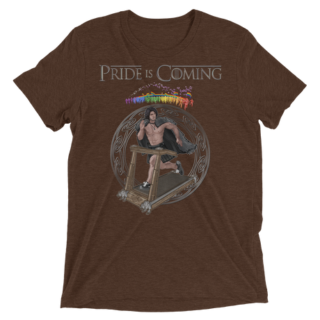 Pride is Coming (Retail Triblend)-Triblend T-Shirt-Swish Embassy