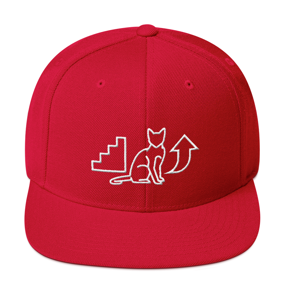 Cloth Blue Baseball Cat Hat Baseball Cap Backwards Hat 