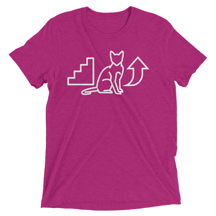 Step Your Pussy Up (Retail Triblend)-Triblend T-Shirt-Swish Embassy