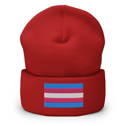Trans Pride (Beanie)-Beanie-Swish Embassy