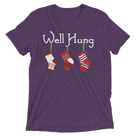 Well Hung Stockings (Retail Triblend)-Triblend T-Shirt-Swish Embassy