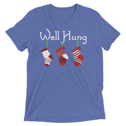 Well Hung Stockings (Retail Triblend)-Triblend T-Shirt-Swish Embassy