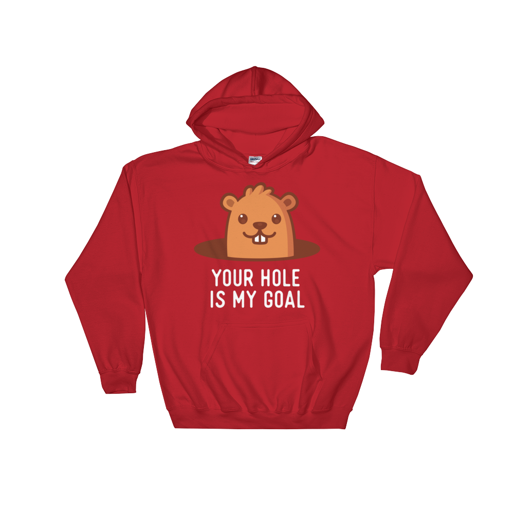 Your Hole is My Goal (Hoodie)-Hoodie-Swish Embassy