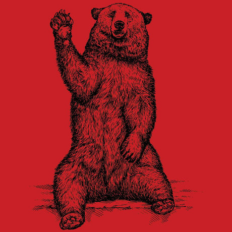 Friendly Bear-T-Shirts-Swish Embassy